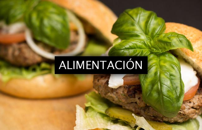 Alimentación